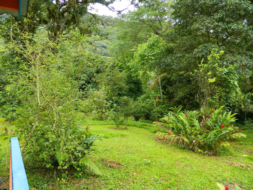 Bicho Do Mato Suites Guapimirim Exterior foto